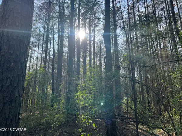 1 Zara Spook Drive, Cedar Grove, TN 38321