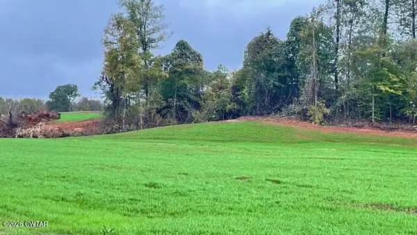 00 Medon Malesus Road, Medon, TN 38356