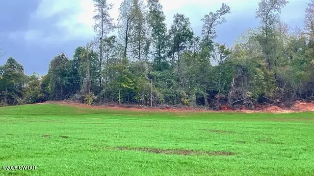 00 Medon Malesus Road, Medon, TN 38356 - #3