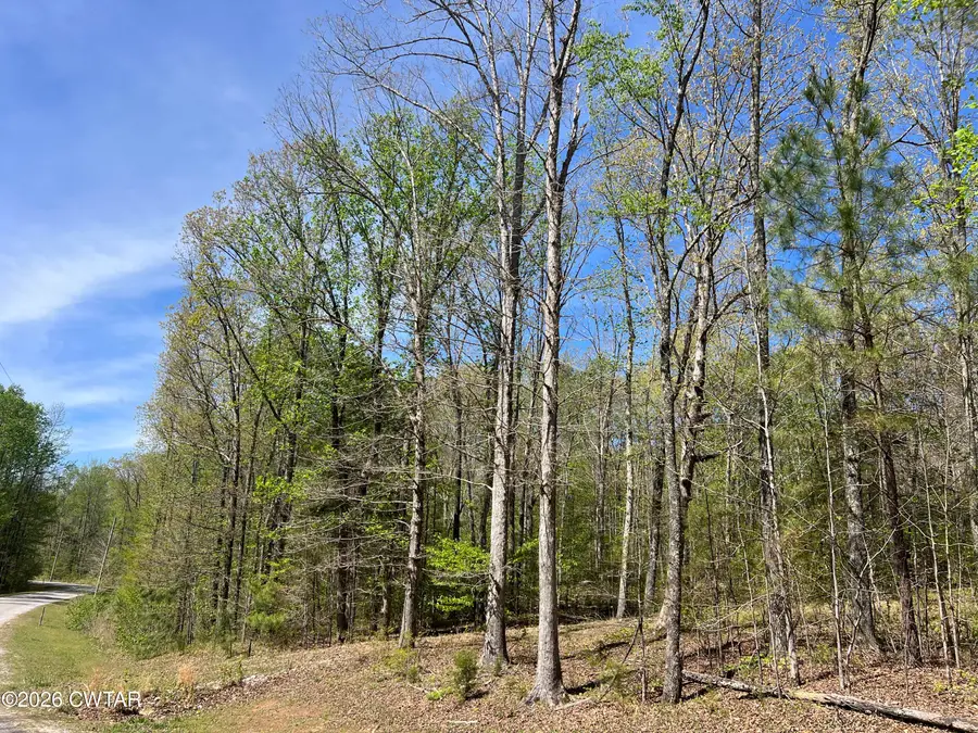 942 Excalibur Trail (lot 101) Trail, Cedar Grove, TN 38321 - #2