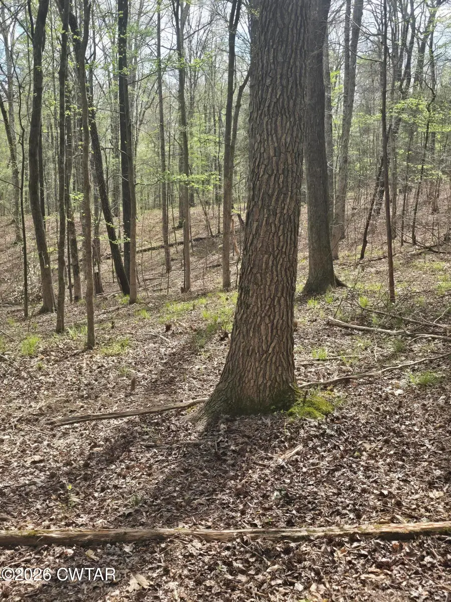 2700 Independence Road, Huntingdon, TN 38344 - #2