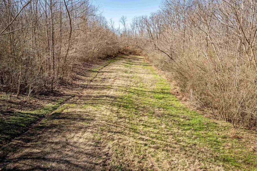 0 Gunn Gardens Place, Parsons, TN 38363 - #3