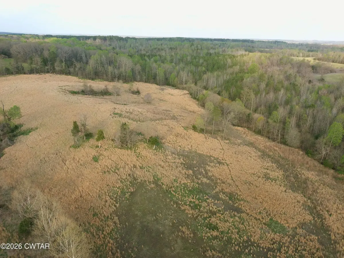 00 Highway 114, Hollow Rock, TN 38342 - #1