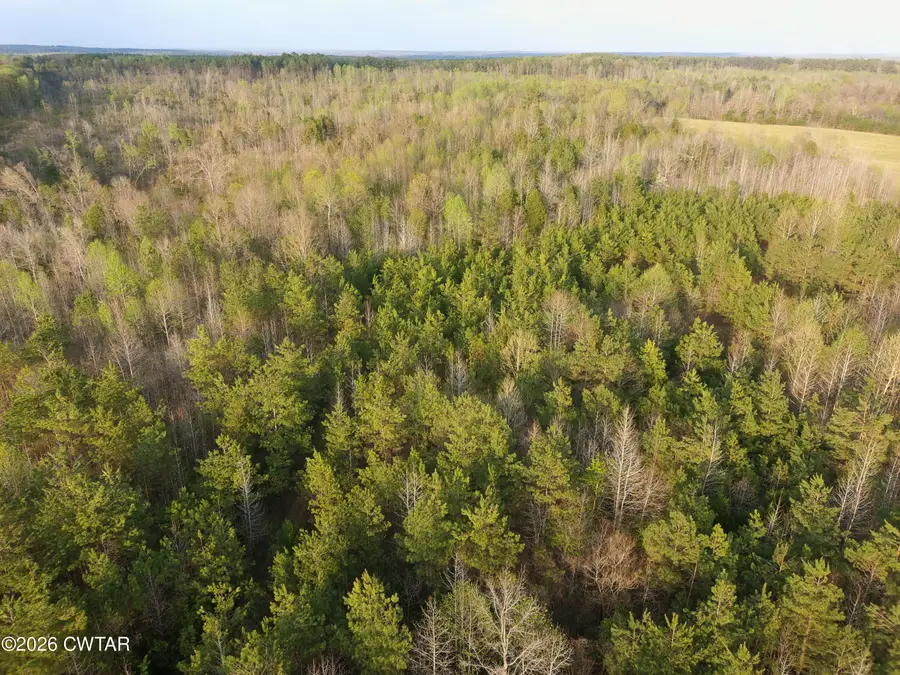 00 Highway 114, Hollow Rock, TN 38342 - #3