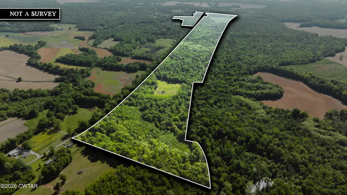 0 Beech Bluff Road, Beech Bluff, TN 38313 - #1