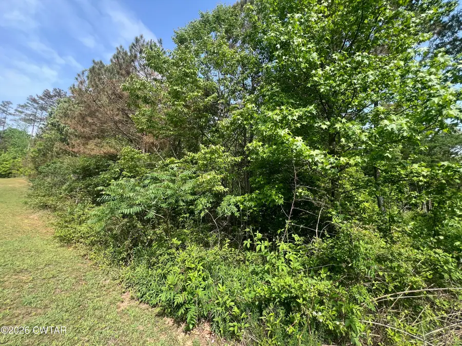 120 Strike King Dr (lot 219), Cedar Grove, TN 38321 - #2
