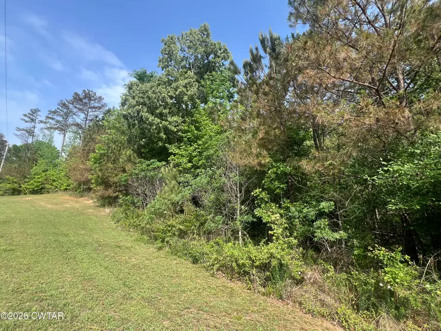 120 Strike King Dr (lot 219), Cedar Grove, TN 38321 - #3