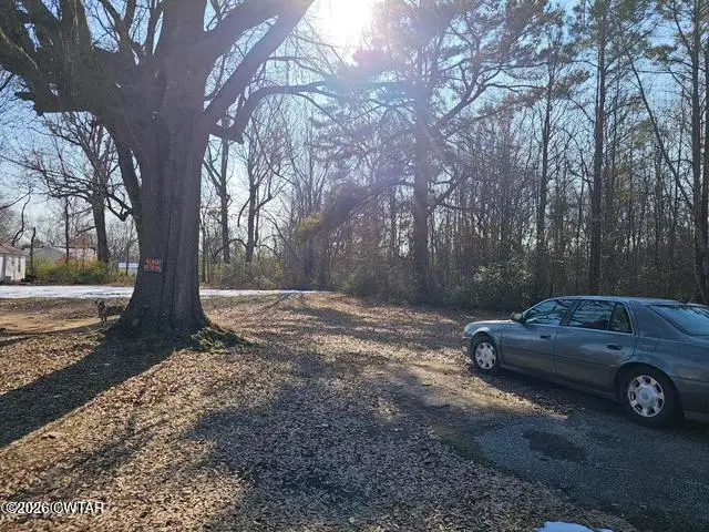 110 Birch Street, Jackson, TN 38301 - #3