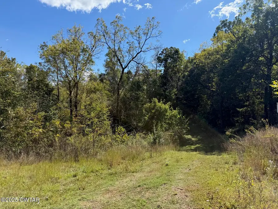 1380 Cleve Duke Road, Hornbeak, TN 38232 - #2