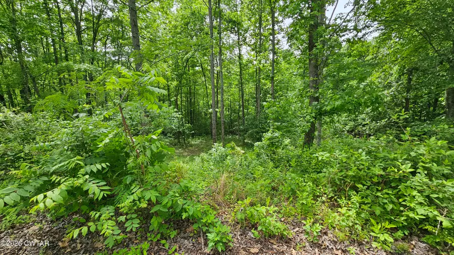 104 Sidney Baird Road, Bradford, TN 38316 - #2