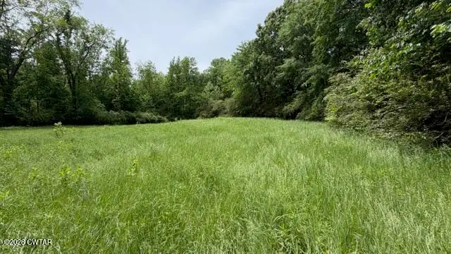 00 Terry Road, Cedar Grove, TN 38321 - #1
