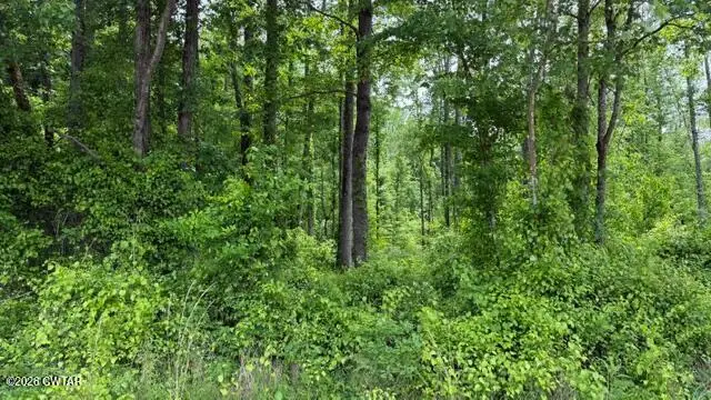 00 Terry Road, Cedar Grove, TN 38321 - #2