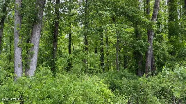 00 Terry Road, Cedar Grove, TN 38321 - #3