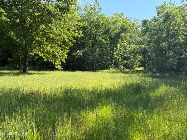 214 Authur Byrd Road, Pocahontas, TN 38061