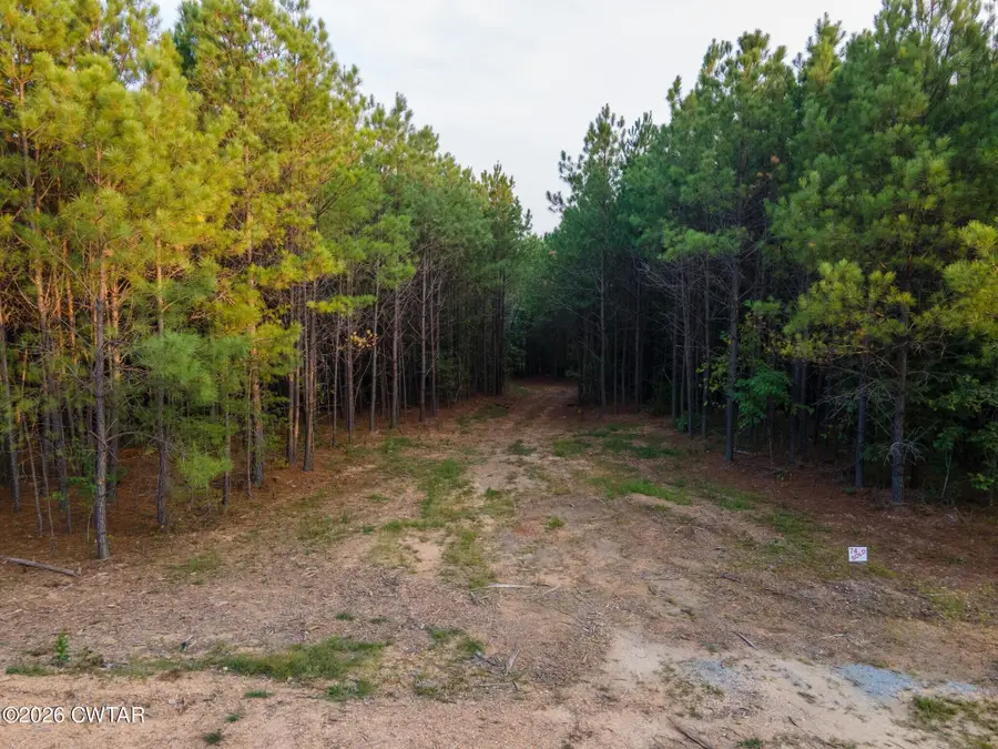538 Seiber Ridge Road, Hohenwald, TN 38462 - #2