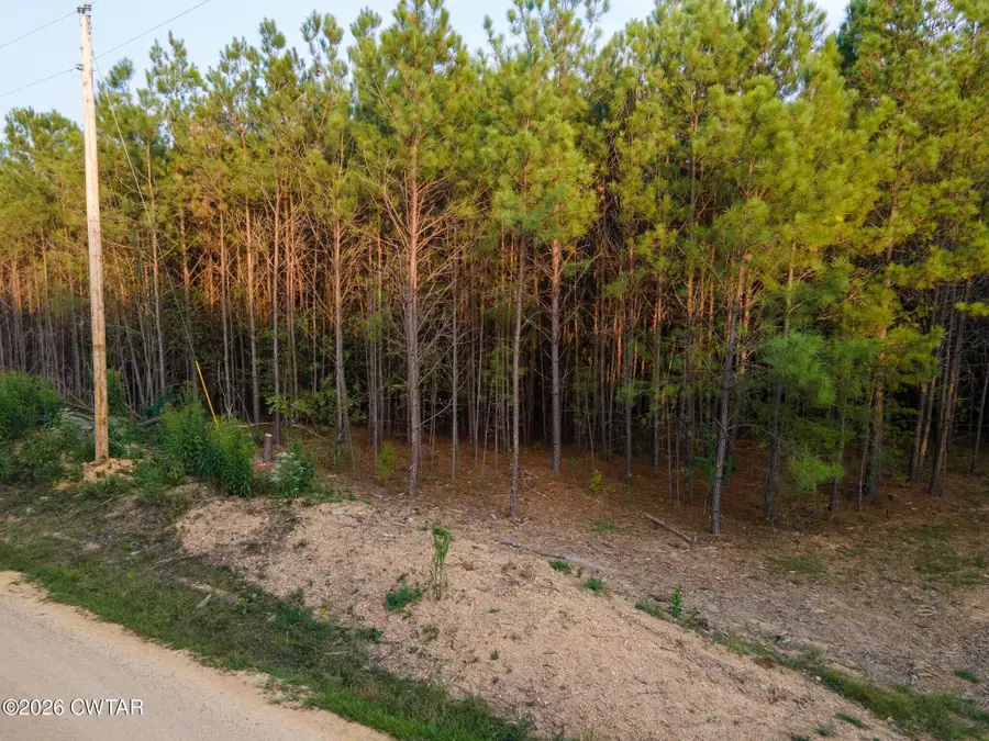 538 Seiber Ridge Road, Hohenwald, TN 38462 - #3