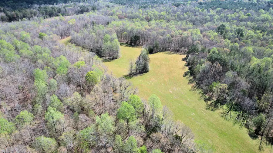 000 Stewart Cementery Lane, Enville, TN 38332 - #3