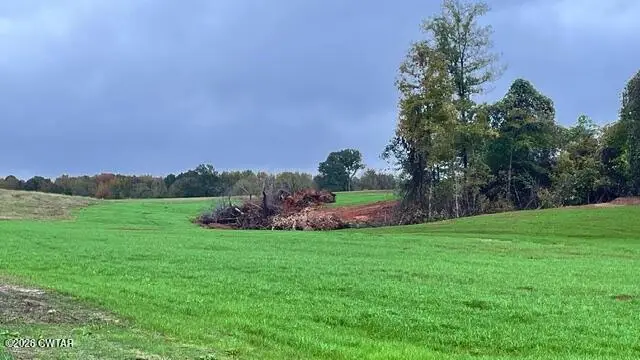 Tract 4 Medon Malesus Road, Medon, TN 38356 - #3