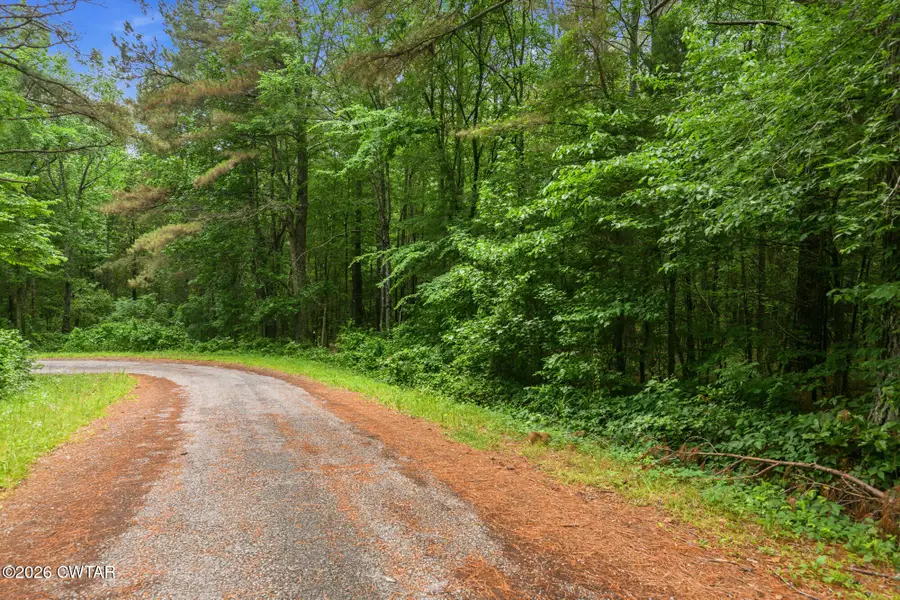 167 Woodland Hills Cove, Wildersville, TN 38388 - #3