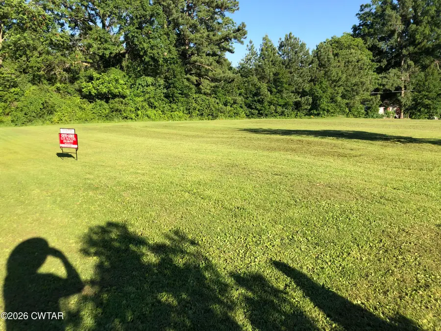 369 S Main North Street, Medina, TN 38355 - #3