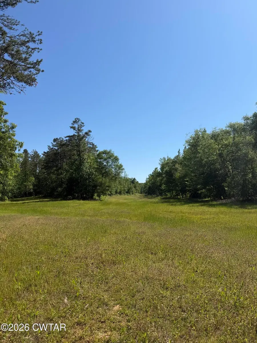 00 Arthur Byrd Road, Pocahontas, TN 38061 - #3
