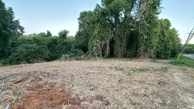 00 Baker Road And Brier Creek Road, Huntingdon, TN 38344 - #3