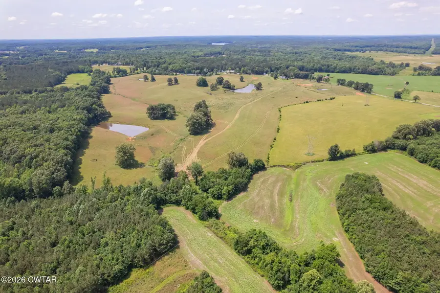 1450 Longsought Road, Wildersville, TN 38388 - #2