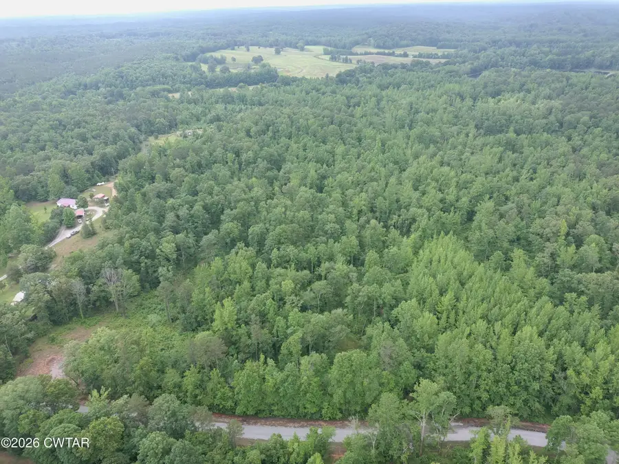 0 Butler Road, Pinson, TN 38366 - #3