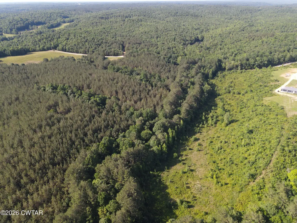 0 Walter Mills Road, Sugar Tree, TN 38380 - #1