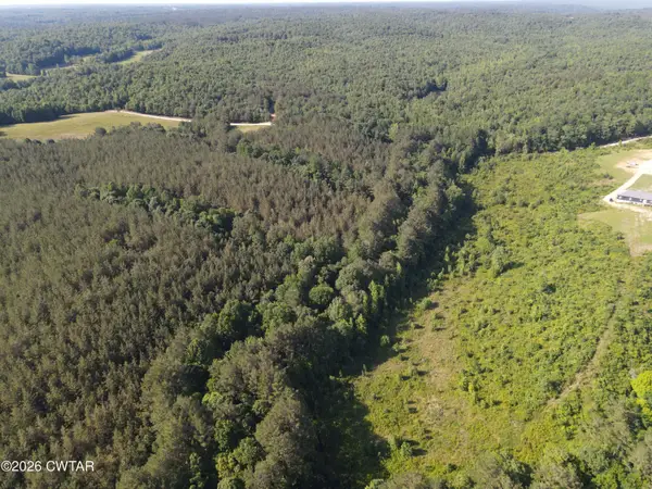 0 Walter Mills Road, Sugar Tree, TN 38380