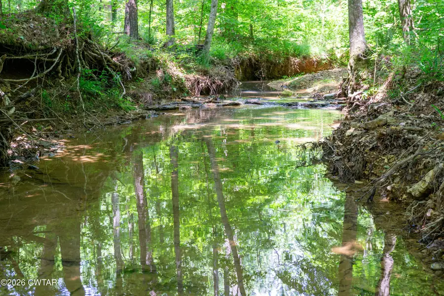 0 Walter Mills Road, Sugar Tree, TN 38380 - #3