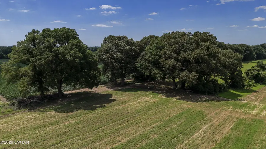 00 Highway 152, Alamo, TN 38001 - #3