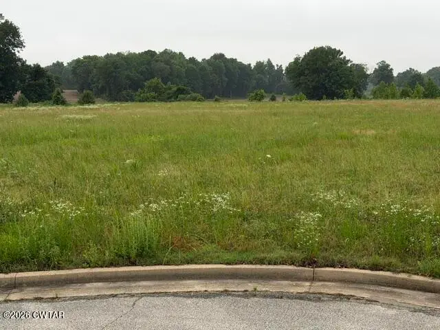 00 Three Oaks Drive, Medina, TN 38355 - #1