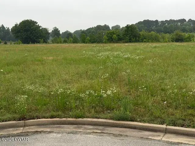 00 Three Oaks Drive, Medina, TN 38355 - #2