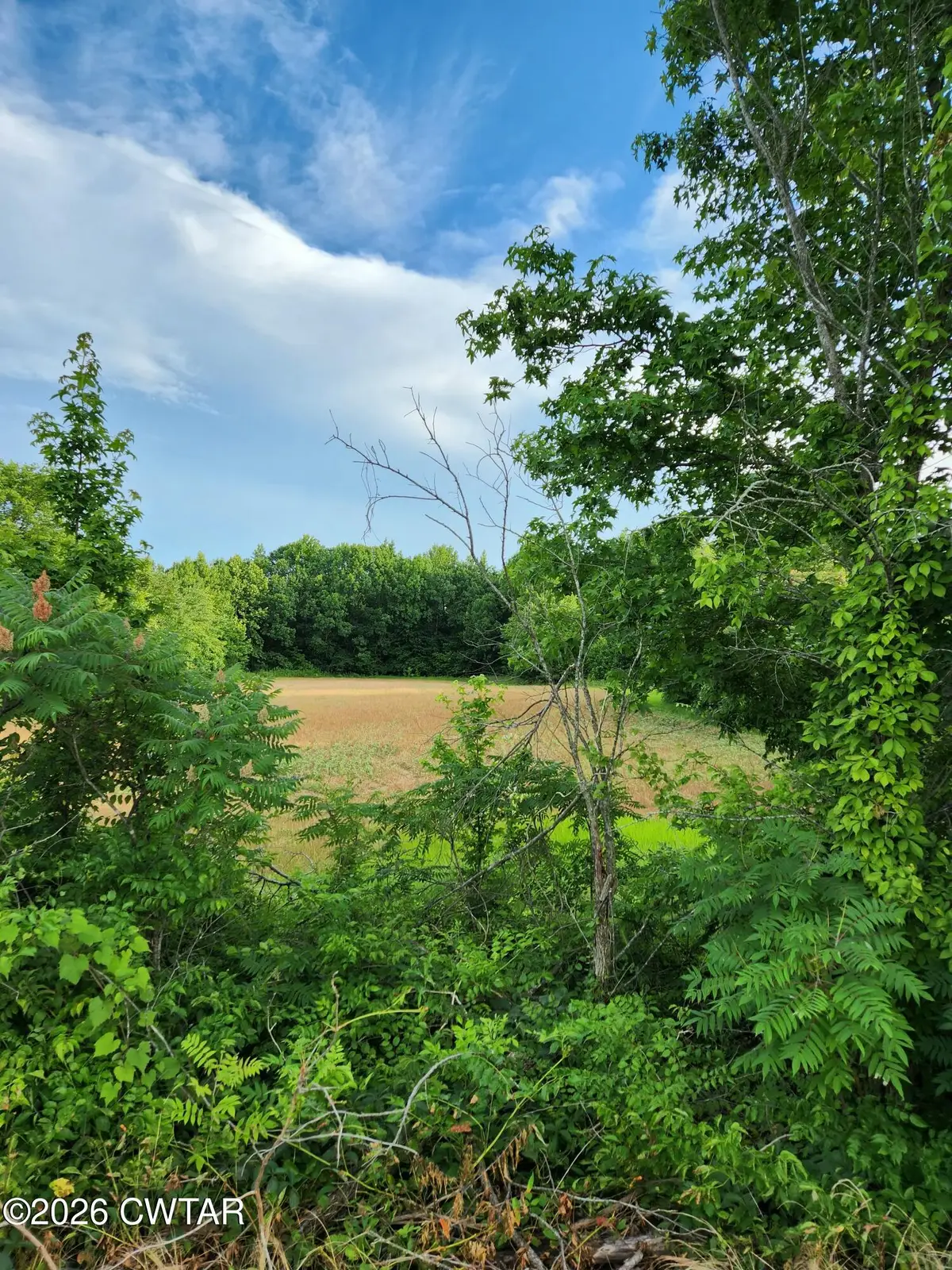 00 Friendship Road, Brownsville, TN 38012 - #1