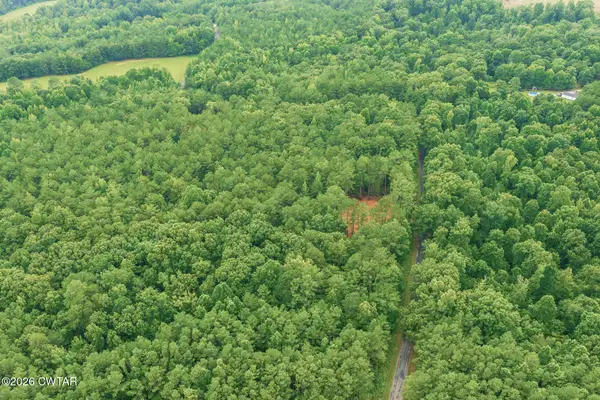00 Old Lula Road, Reagan, TN 38368