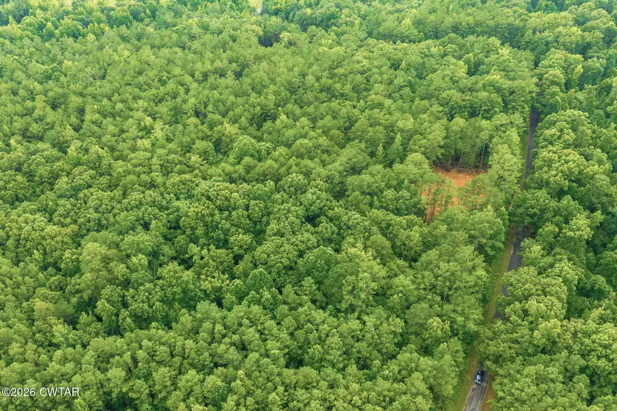 00 Old Lula Road, Reagan, TN 38368 - #2