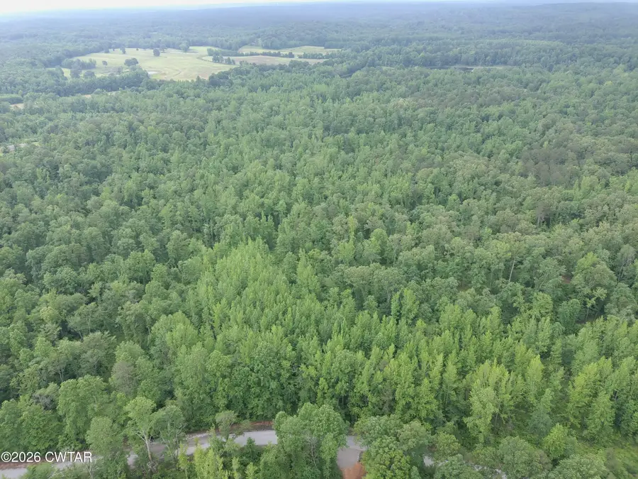 00 Parkburg Road, Pinson, TN 38366 - #3