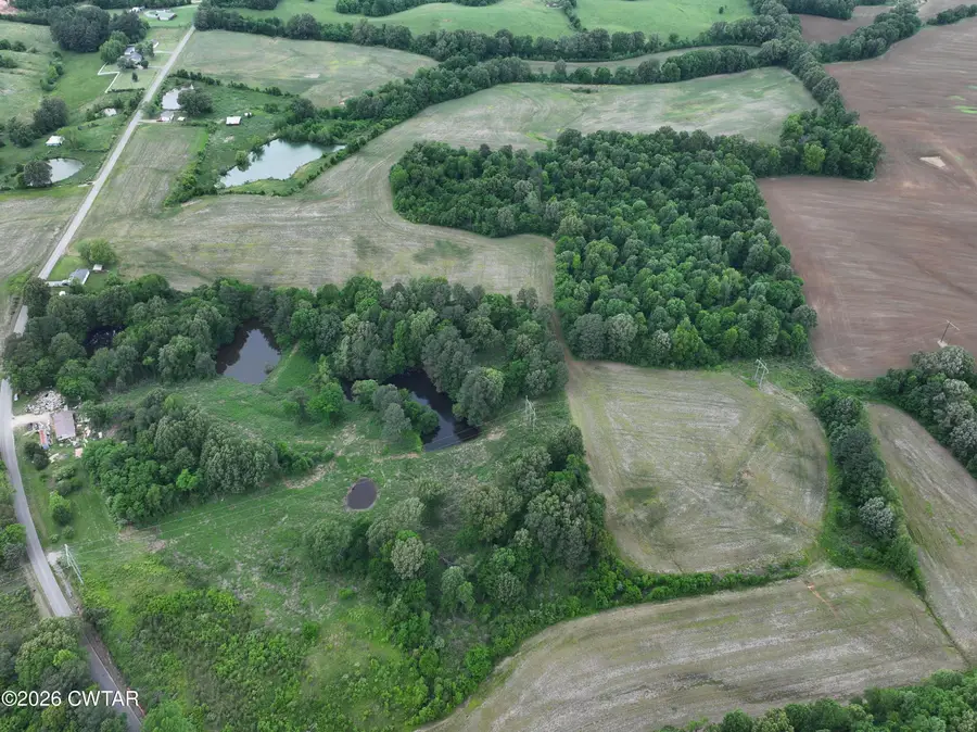 002 Old Jackson Road, Trenton, TN 38382 - #3