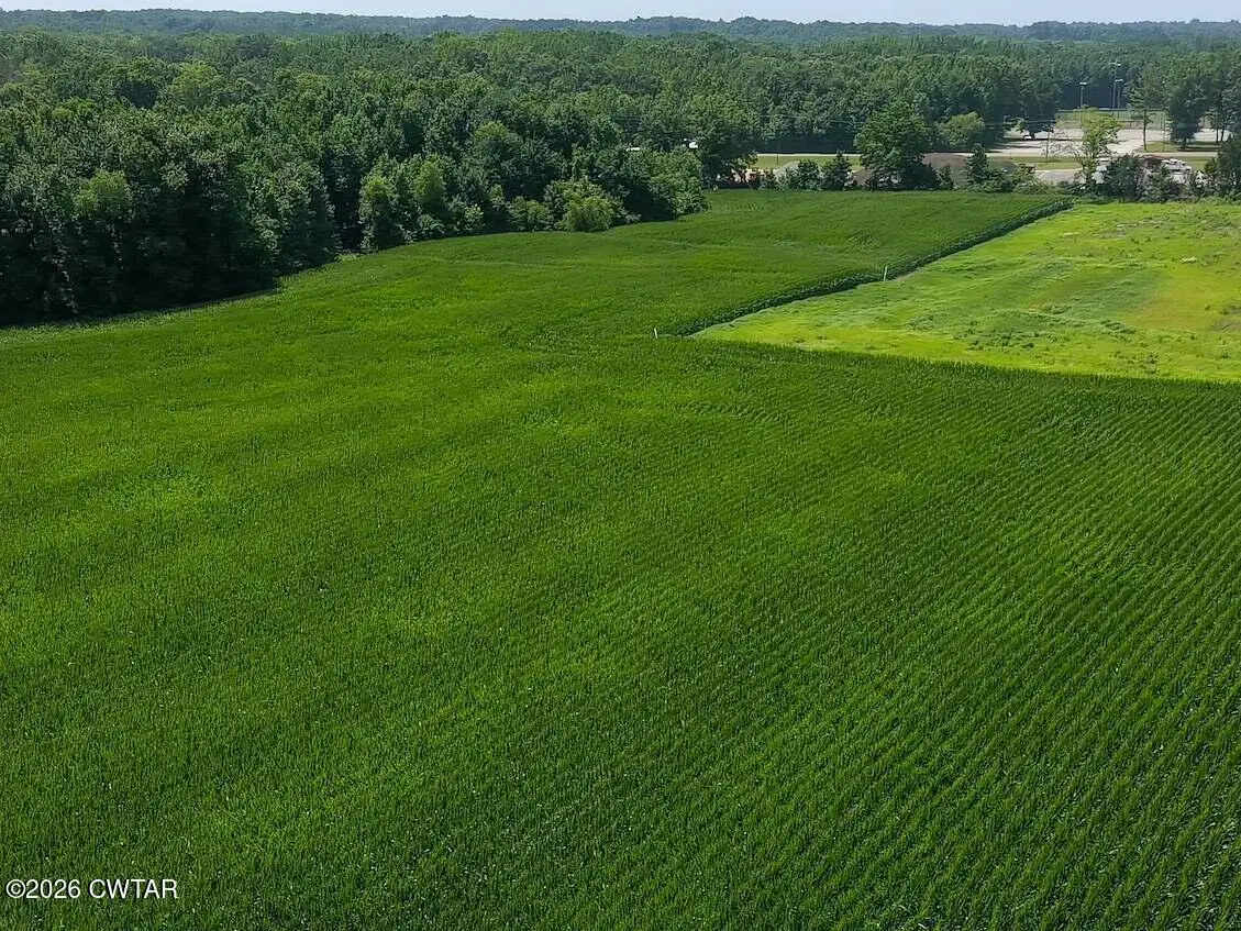 00  E State Route 100 E (tract 3), Henderson, TN 38340 - #1