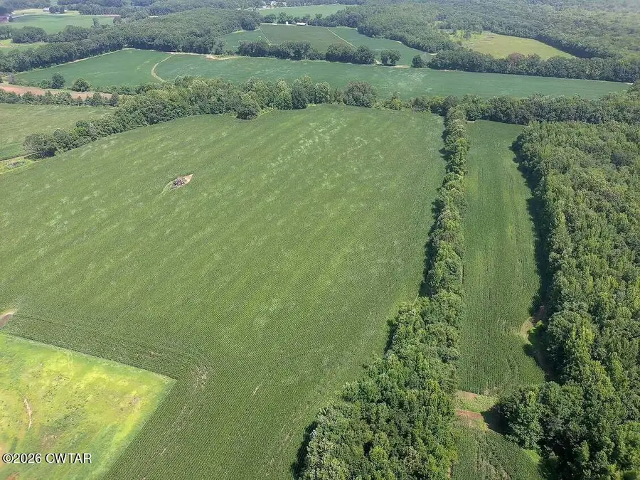 00  E State Route 100 E (tract 3), Henderson, TN 38340 - #3