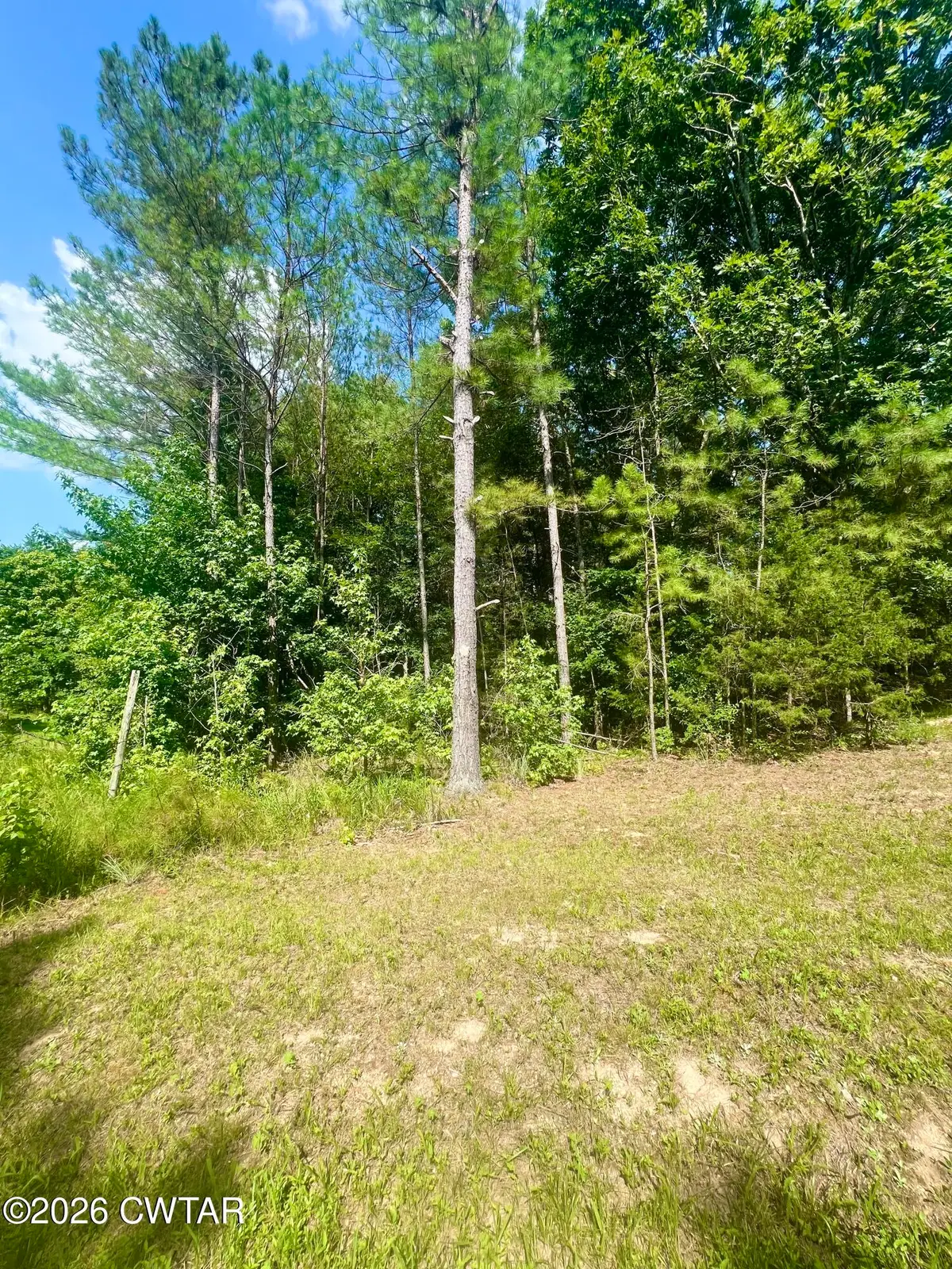 0 Old Hart Road, Lexington, TN 38351 - #1