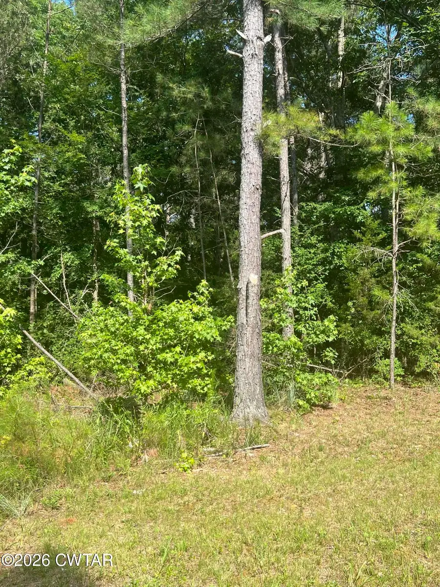 0 Old Hart Road, Lexington, TN 38351 - #2