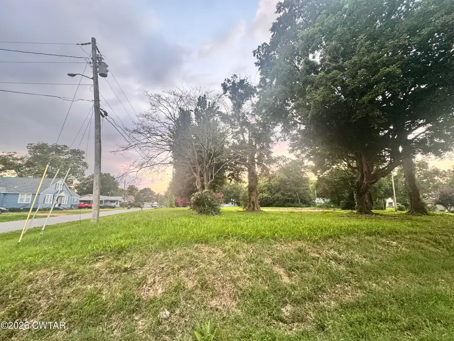 321 W Troy Avenue, Obion, TN 38240 - #3