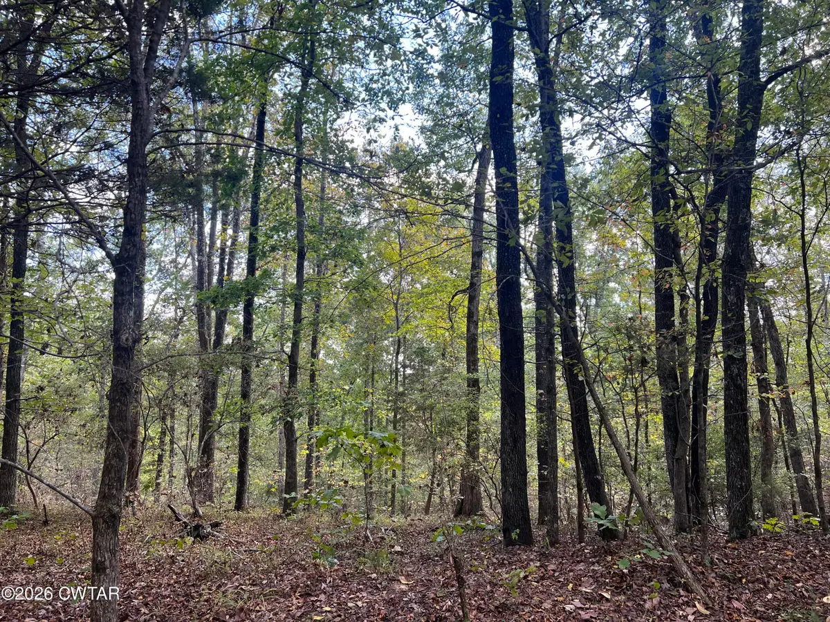 4600 Silerton Road, Henderson, TN 38340 - #1