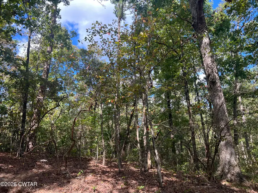 4600 Silerton Road, Henderson, TN 38340 - #3