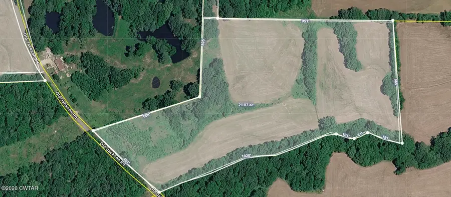 003 Old Jackson Road, Trenton, TN 38382 - #3
