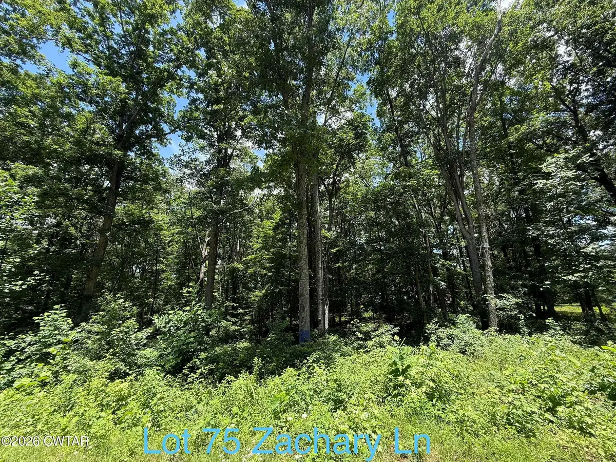 0 Zachary Lane, Camden, TN 38320 - #1
