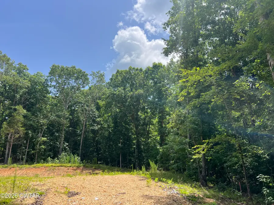 1185 Strike King Dr (lot 193), Cedar Grove, TN 38321 - #2