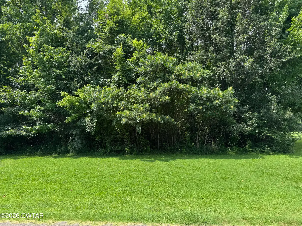 114A Pepper Tree Road, Jackson, TN 38305 - #1